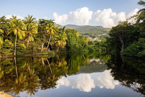 View of a river arm, a tropical mangrove landscape and the natural surroundings of Grande Anse