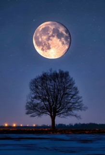 The full moon stands very large and bright between, in the star-studded night sky and illuminates a