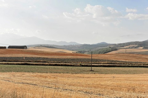 Harvested wheat field, landscape north of Sorano, Tuscany, Italy, Europe