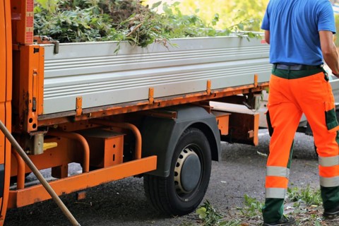 Green maintenance, landscape maintenance (Homburg, Saarland)