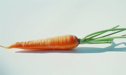 Carrot on a white background. Close-up. Selective focus AI generated