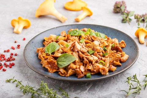 Fried chanterelle mushrooms with basil and spice herbs on gray concrete background. Side view,