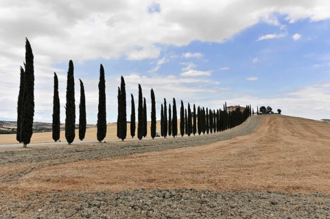 Cypress avenue with farmhouse, south of Pienza, Tuscany, Italy, Europe