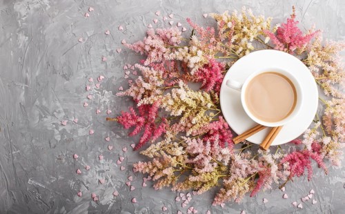 Pink and red astilbe flowers and a cup of coffee on a gray concrete background. Morninig, spring,
