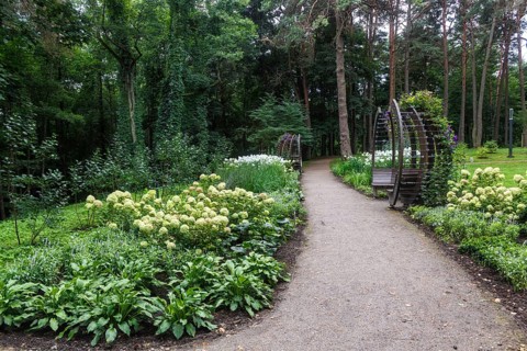 A forest park with large trees and creative benches and arches. Druskinikai, Lithuania, Europe