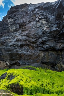Rocky beach landscape with green algae, rocks, sea, Atlantic coast, rocky coast, rock formation,