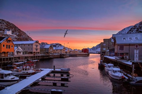 Winterliche Morgenstimmung im Fischerhafen von Nyksund auf den Vesteralen