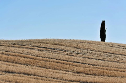Harvested wheat field, landscape north of Sorano, Tuscany, Italy, Europe
