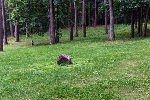 A green lawn with large trees growing in it in the city park of Druskininkai. Lithuania