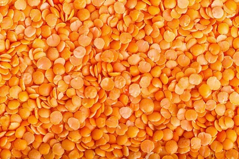 Texture of red lentils. Top view