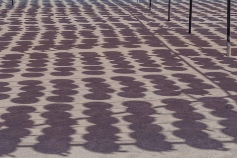 Shadows of oriental paper lanterns hanging from wires at Buddhist temple in South Korea