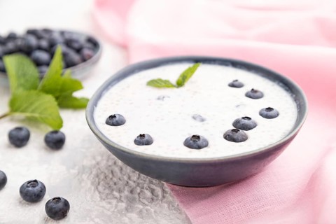 Yogurt with blueberry in ceramic bowl on gray concrete background and pink linen textile. Side