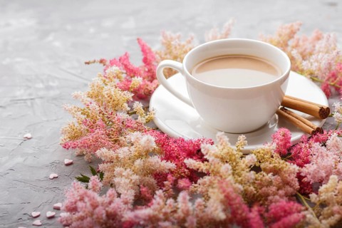 Pink and red astilbe flowers and a cup of coffee on a gray concrete background. Morninig, spring,