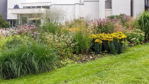Complex flower bed of perennial plants in the city park. Druskininkai, Lithuania, Europe