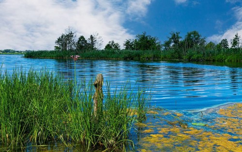 Landscape and nature around Berlin, Germany, Europe