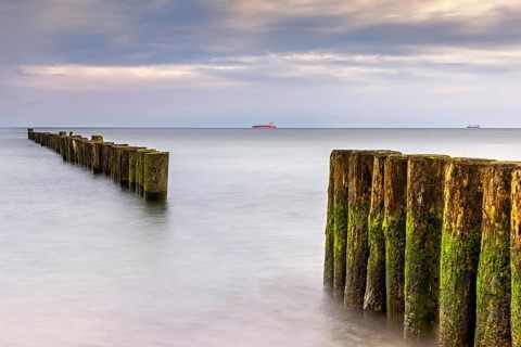 Groynes covered with green algae in the soft light of the morning on the Baltic Sea as a long