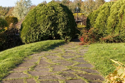 Park with green lawn, trees trimmed bushes and natural stone path in autumn. Modern landscape