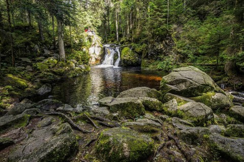 Kroi-Woog-Gumpen, with moss, rocks and forest, Hotzenwald, Black Forest, Baden-Wuerttemberg,