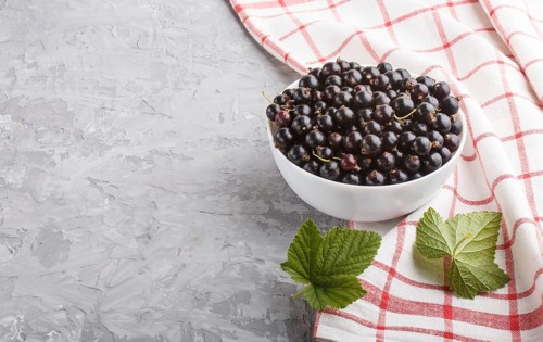 Fresh black currant in white bowl and linen textile on gray concrete background. side view, close