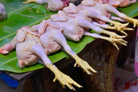 Chicken, poultry display at the market, Mandalay, Myanmar, Asia