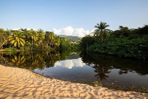 View of a river arm, a tropical mangrove landscape and the natural surroundings of Grande Anse