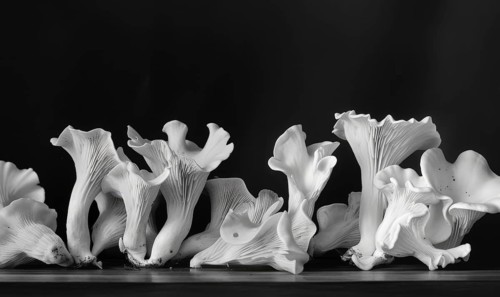 Black and white chanterelle mushrooms on black background. Vintage photo style AI generated