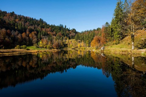 Lake with autumn forest, water reflection, Nonnenmattweiher, Neuenweg, Black Forest,