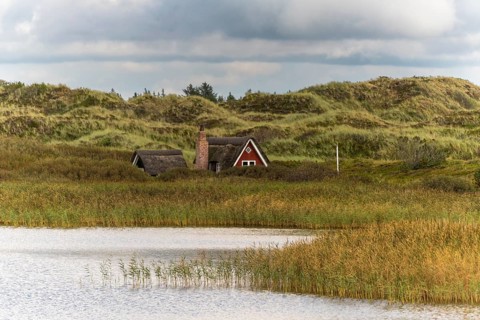Swedish house behind reed belt at Nyminde Strom in front of dune landscape, Norre fog, Region