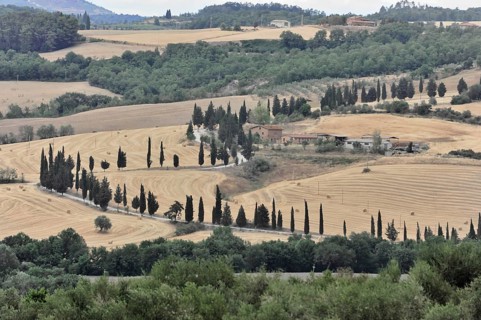 Cypress avenue with farmhouse, south of Pienza, Tuscany, Italy, Europe