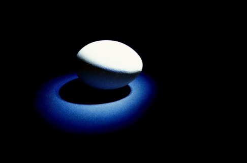 Closeup of one single henÂ´s egg, chicken egg