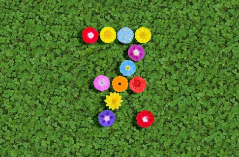 Number 7 seven seventh 7th written with colorful flowers on green clover background