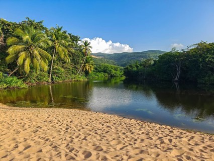 View of a river arm, a tropical mangrove landscape and the natural surroundings of Grande Anse