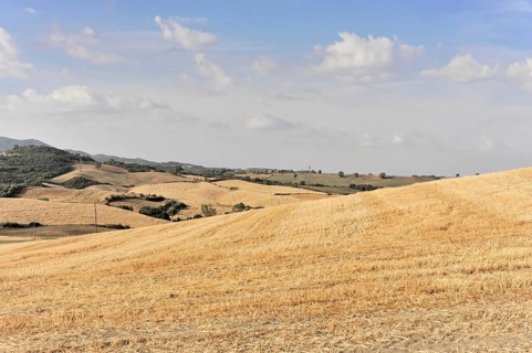 Harvested wheat field, landscape north of Sorano, Tuscany, Italy, Europe