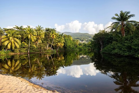 View of a river arm, a tropical mangrove landscape and the natural surroundings of Grande Anse