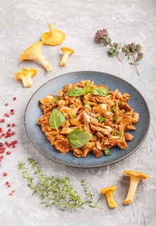 Fried chanterelle mushrooms with basil and spice herbs on gray concrete background. Side view,