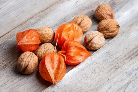 Walnuts and red physalis on rustic wooden background with copy space