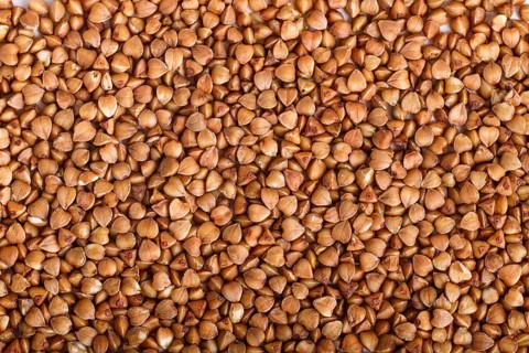 Texture of buckwheat. Top view