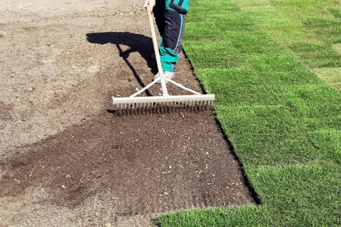 Gardener lays sod