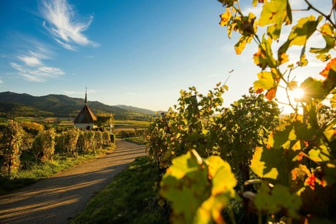 Mount of Olives Chapel in the vineyards, sunset, Ehrenstetten, Markgraeflerland, Black Forest,
