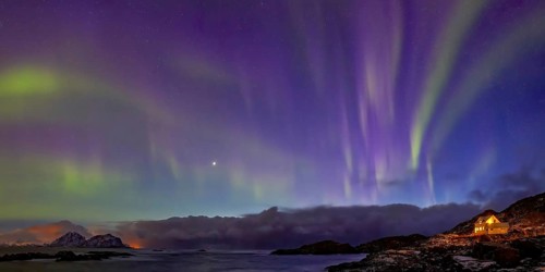 Polarlichter zur blauen Stunde am Meer auf den Vesteralen