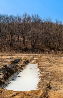 Hiking shoes left beside man made ditch filled with milky water in wilderness with leafless trees