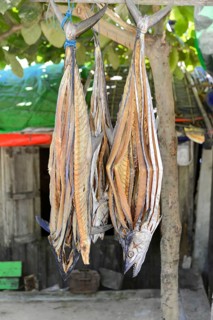 Pisces Ngapali Beach, Thandwe, Burma, Burma, Myanmar, Asia