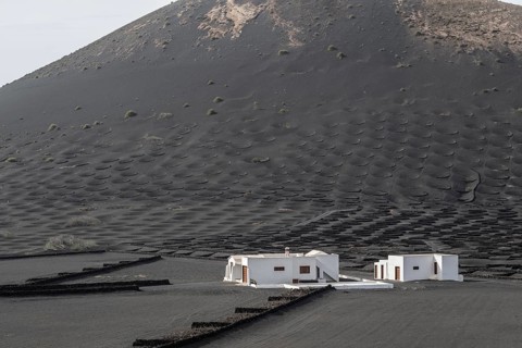 Wine growing in volcanic ash pits protected by dry stone walls, Yaiza, Lanzarote, Canary Islands,