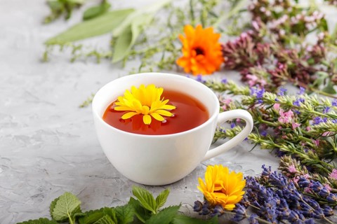 Cup of herbal tea with calendula, lavender, oregano, hyssop, mint and lemon balm on a gray concrete