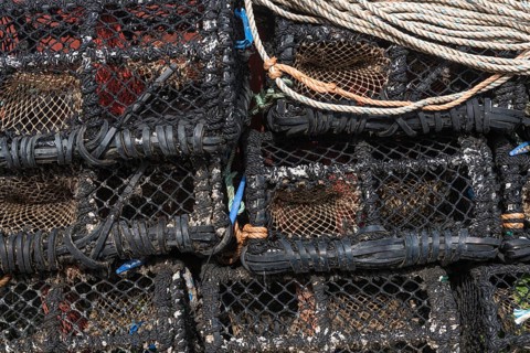 Fishing traps in the harbour of Hvide Sande, Hvide Sande, Region Midtjylland, Denmark, Europe