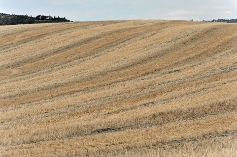 Harvested fields south of Siena, Crete Senesi, Tuscany, Italy, Europe