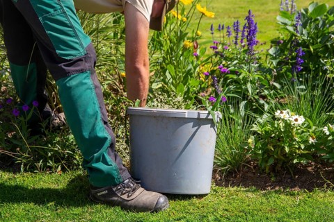 Landscape gardener gardening in the flower bed