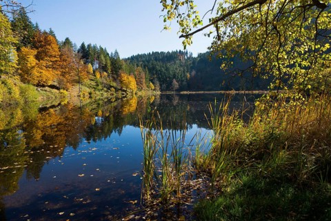 Lake with autumn forest, water reflection, Nonnenmattweiher, Neuenweg, Black Forest,