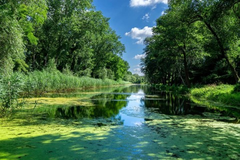 Landscape and nature around Berlin, Germany, Europe