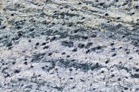The texture of natural stone, sandstone, limestone, granite